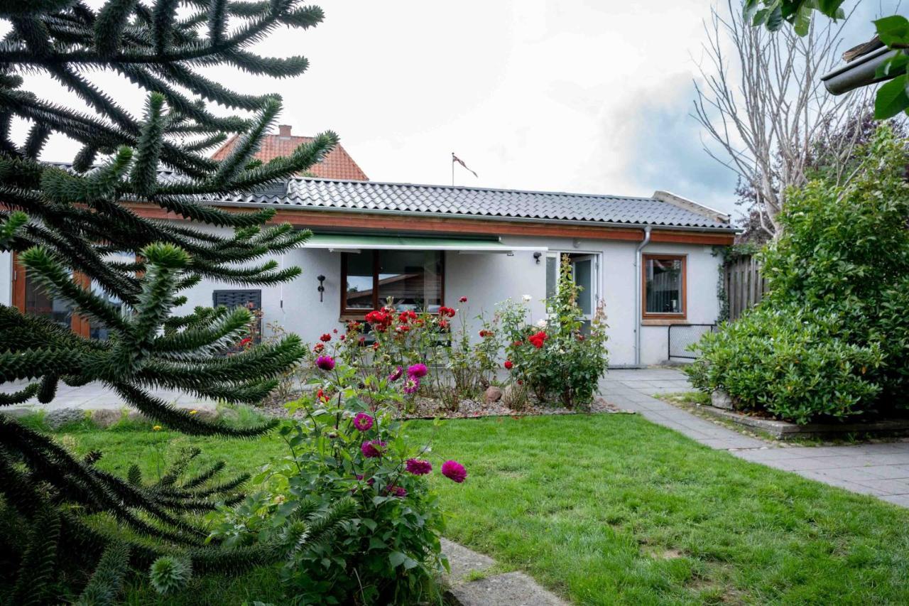 Skylight Lodge Χόρσενς Εξωτερικό φωτογραφία