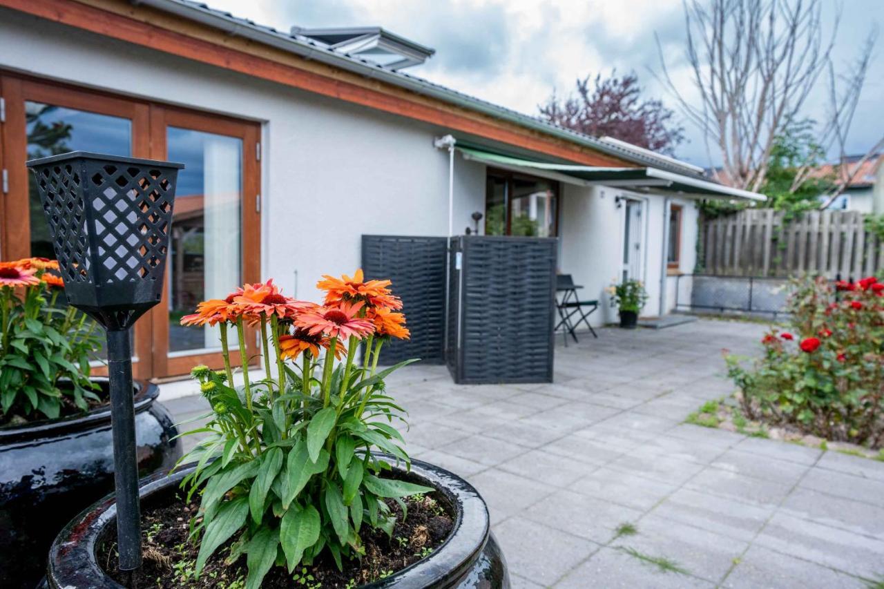 Skylight Lodge Χόρσενς Εξωτερικό φωτογραφία
