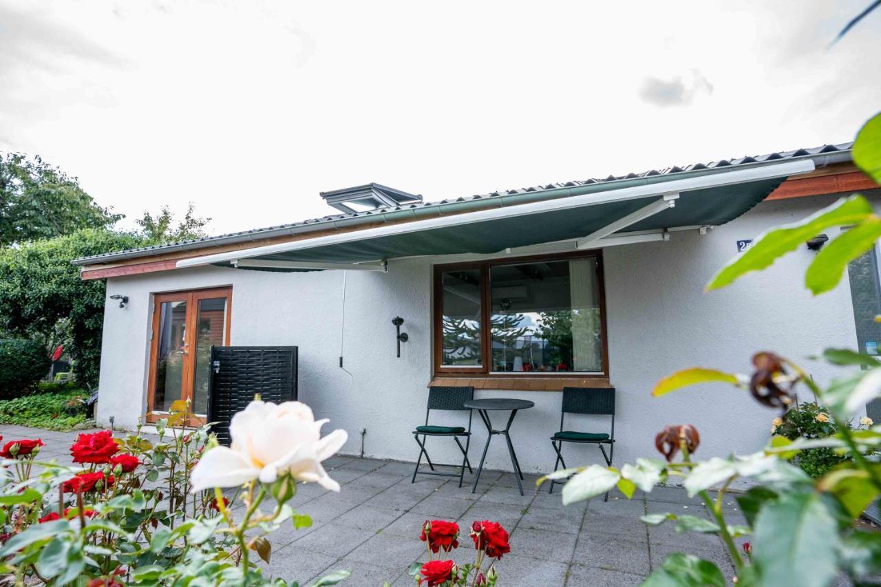 Skylight Lodge Χόρσενς Εξωτερικό φωτογραφία